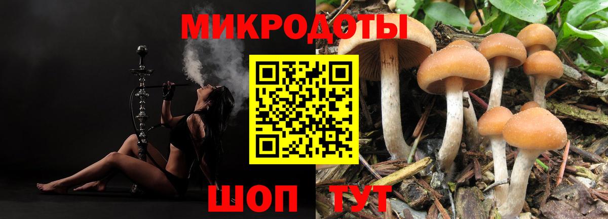Котовск  Галлюциногенные грибы ЛСД  Вход с VPN 